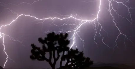 What Caused the Lightning Strikes that Killed 10 in Odisha?