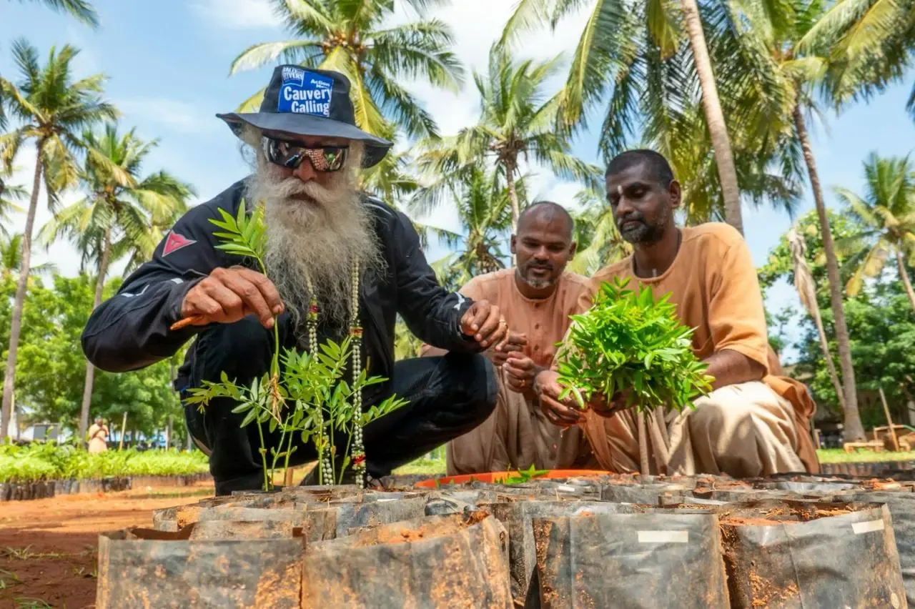 How Many Saplings Have Been Planted Under the Cauvery Calling Movement?