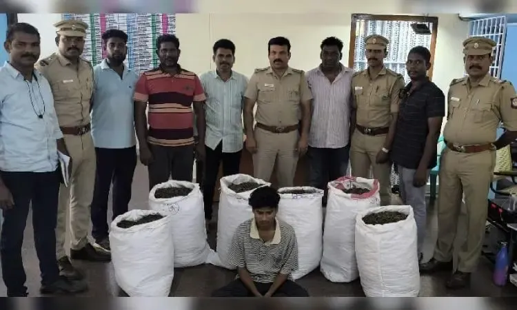 140 Kilograms of Ganja Seized in Tamil Nadu, Smuggler Arrested from Andhra Pradesh