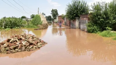 What is the impact of floods on 14,200 acres in Punjab?