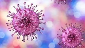 Every Second, A New Genital Herpes Infection is Acquired Globally: WHO Report