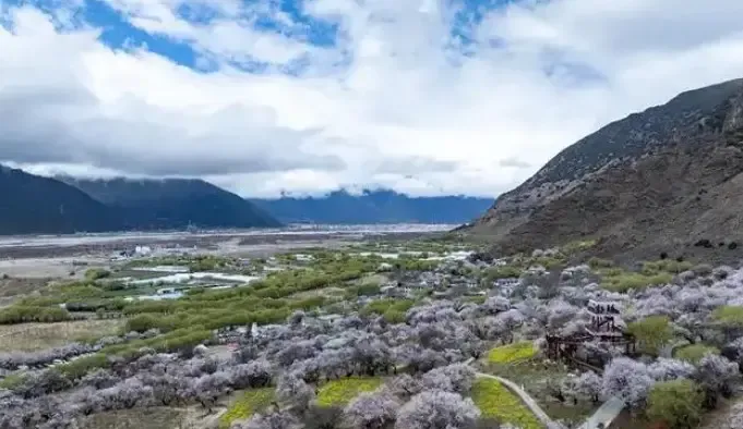 क्या राष्ट्रपति शी चिनफिंग ने शीत्सांग के गाला गांव के निवासियों को प्रेरित किया?