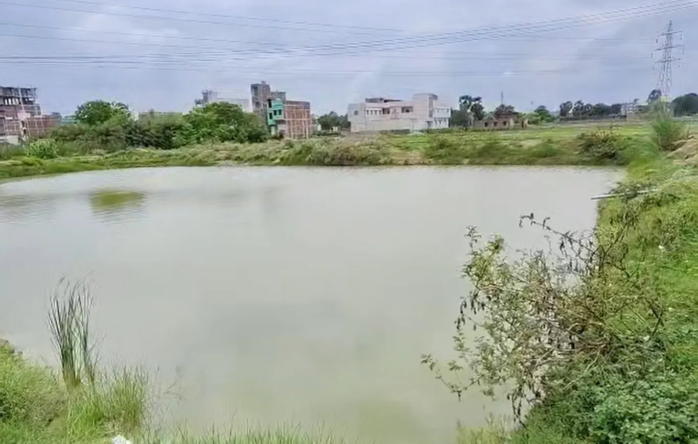 क्या बिहार की महिलाएं प्रधानमंत्री मत्स्य संपदा योजना से आत्मनिर्भर बन रही हैं?