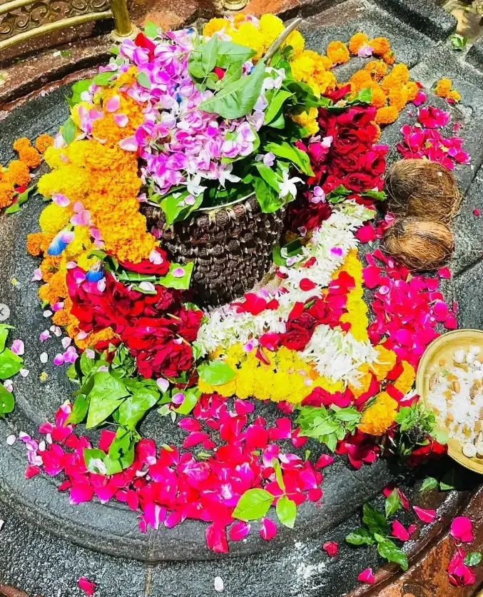 क्या महादेव 'करुणा के ईश्वर' के रूप में यहां विराजते हैं और संतान प्राप्ति के लिए लोग इस ज्योतिर्लिंग के दर्शन करते हैं?