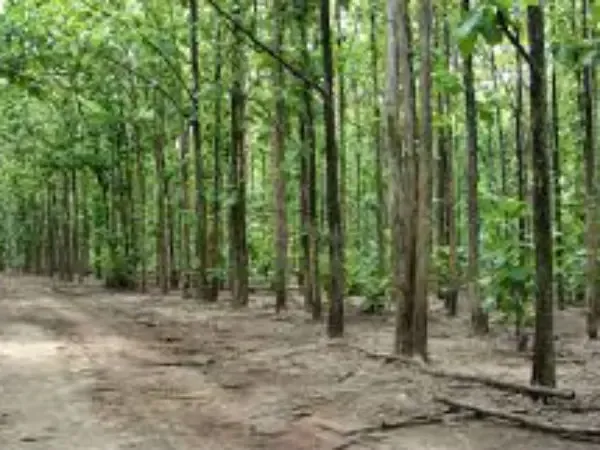 22 Maoists Neutralized in Two Operations in Chhattisgarh