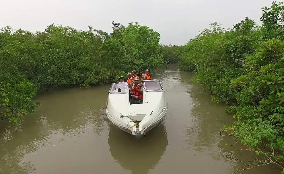 24 Bangladeshi Infiltrators Detained Near Coastal Border in Sundarbans