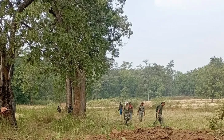 Why Did 24 Maoists Carrying Rs 84 Lakh Bounty Surrender in Bijapur?