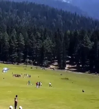 Why Were 25 Individuals Detained in 3 NE States for Comments on the Pahalgam Terror Attack?