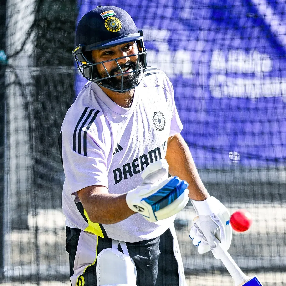 2nd Test: Rohit, Gill, Ashwin Return as India Choose to Bat First Against Australia in Adelaide