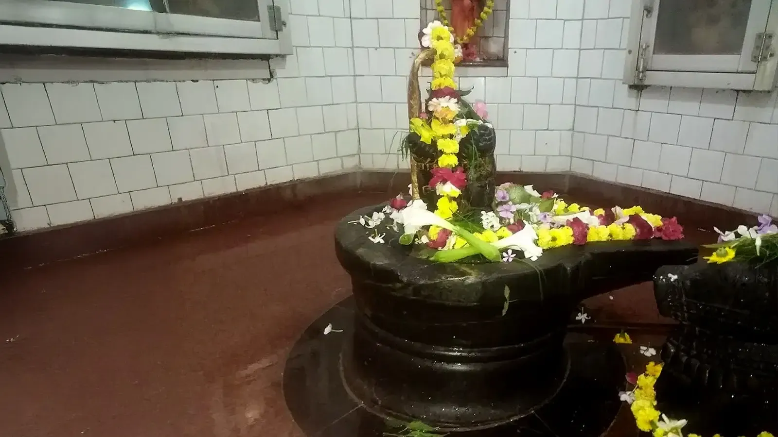क्या सावन विशेष में 400 वर्ष प्राचीन शिवालय में महादेव की सेवा में रत रहते हैं दर्जनों नाग?