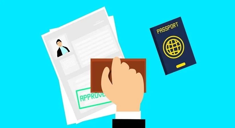 Is There a 42% Drop in Visa Applications to Turkey and Azerbaijan from India?