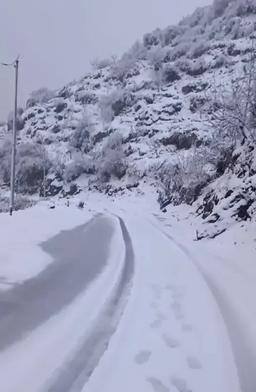 42 Workers Trapped in Avalanche in Uttarakhand; Extensive Rescue Efforts Underway
