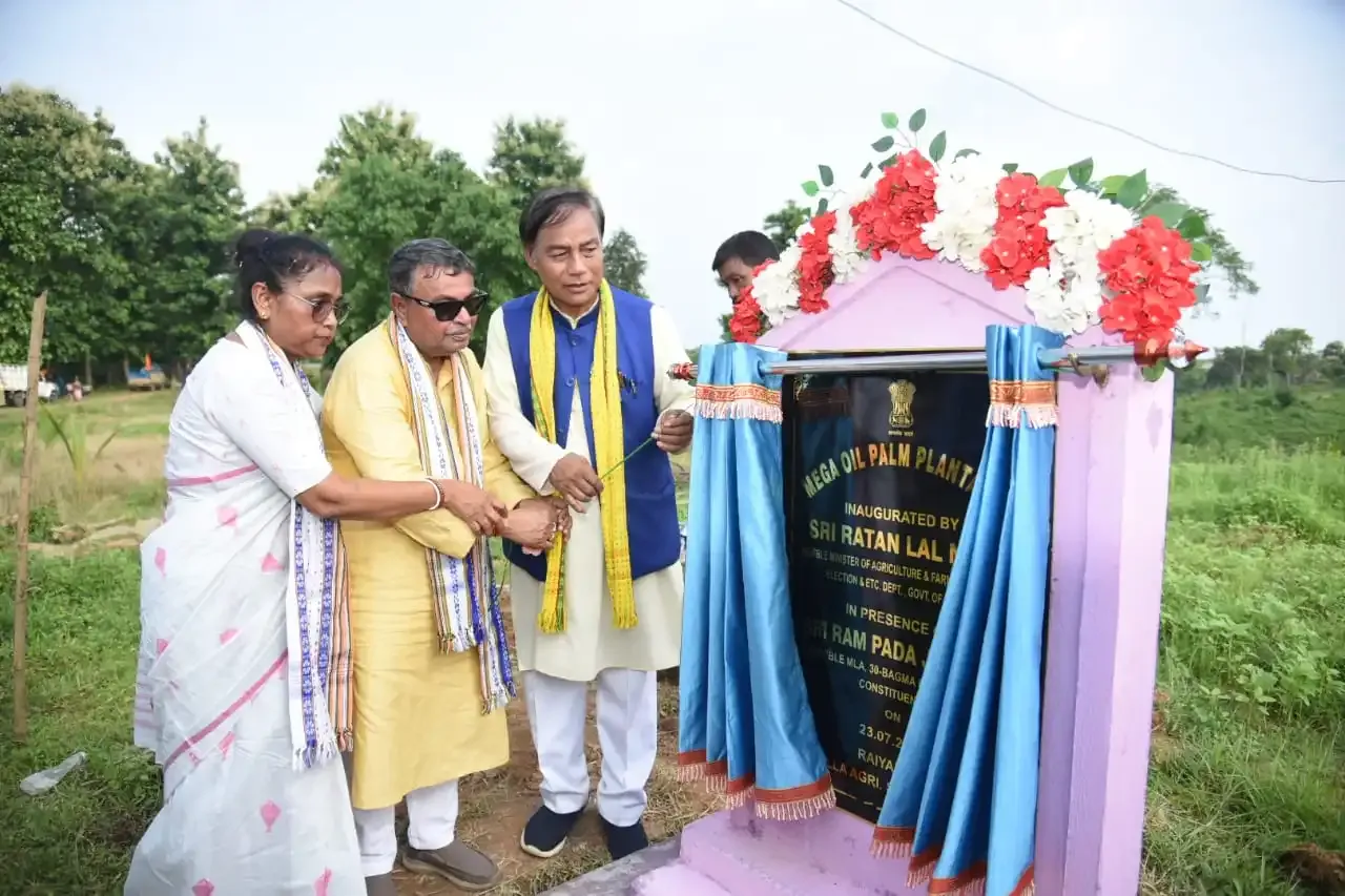 Is Tripura Achieving Self-Sufficiency in Food Grain Production?