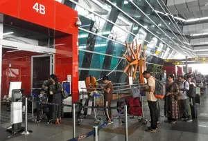 International Routes See 64.5 Million Passengers from January to November 2024, Marking an 11.4% Increase: Government Report