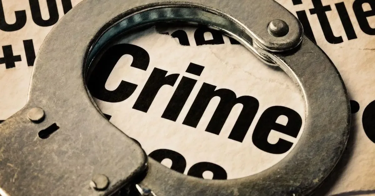 Six Arrested in Two Voter ID Fraud Cases in Delhi's Shaheen Bagh