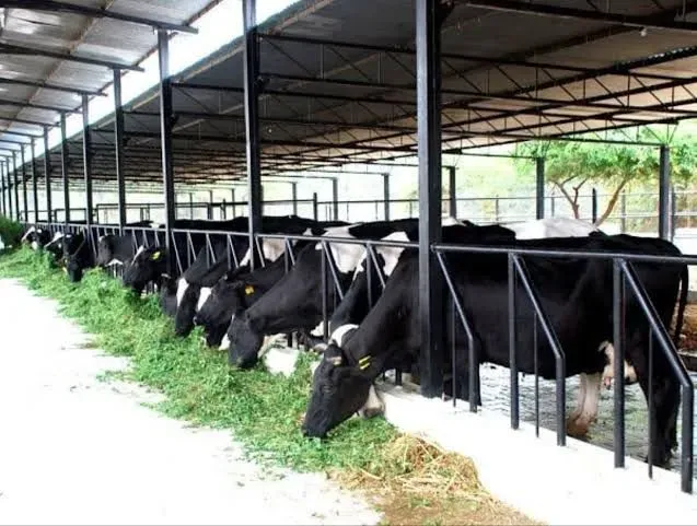 Is the ₹90 crore high-tech dairy plant in TN's Namakkal set to revolutionize milk processing?