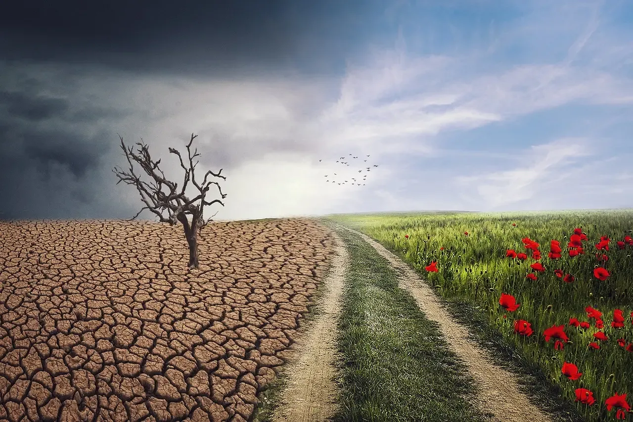 A Year of Unprecedented Heat Signals Urgency for Global Climate Action