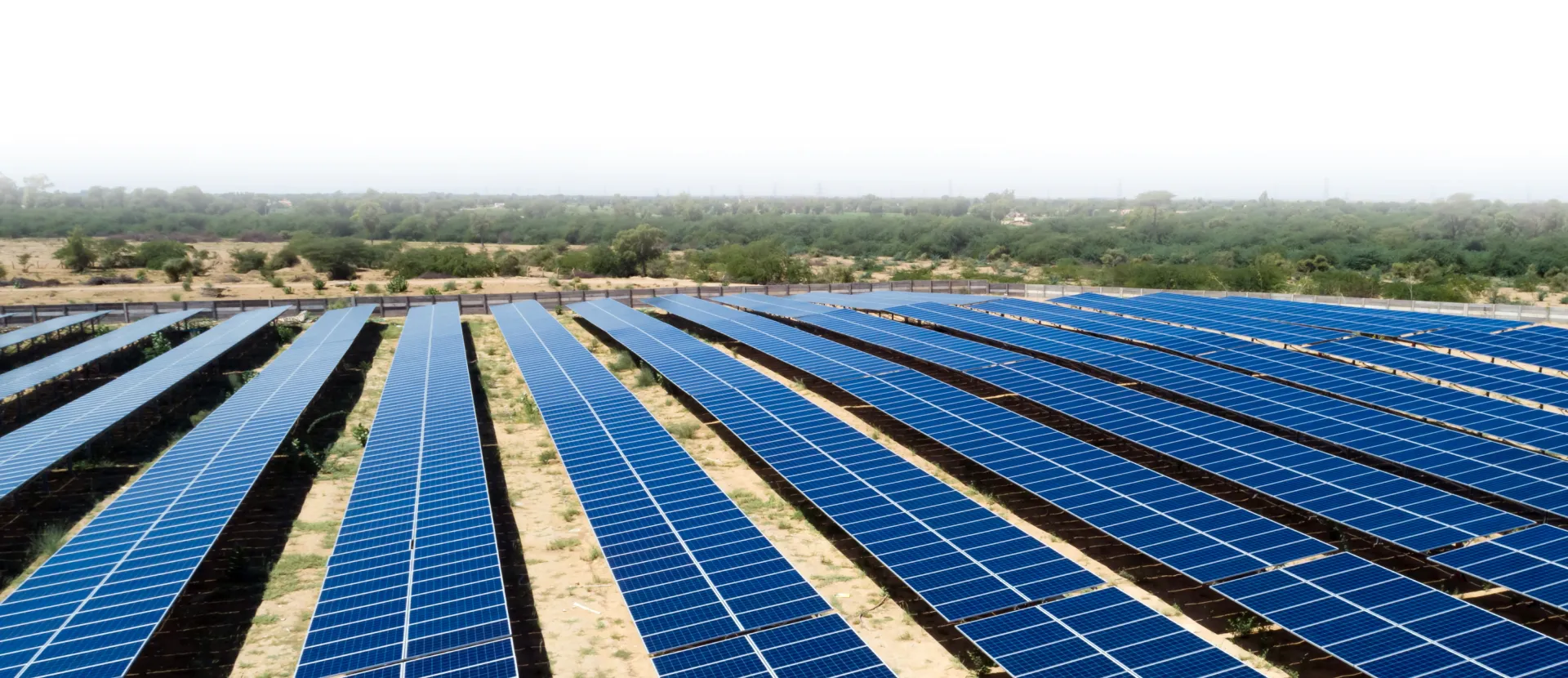 What Caused ACME Solar’s Net Profit to Plummet Over 64% in FY25?