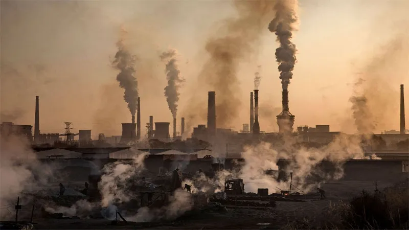 Action Window Tightens as 2024 Sets Record for Global Temperatures: Insights from Climate Expert