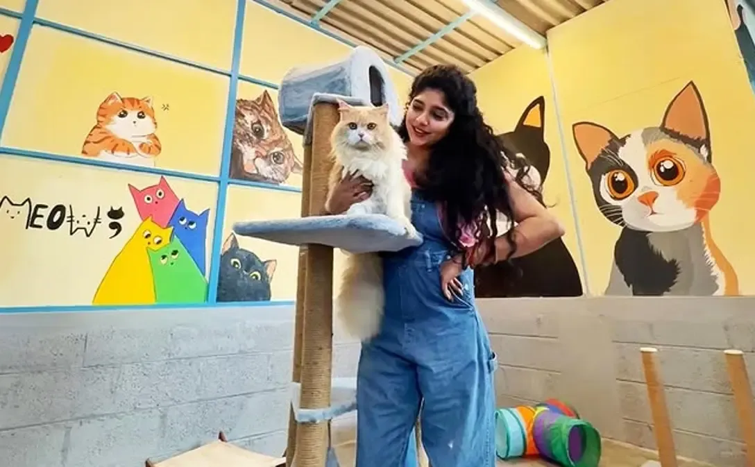 Actress Samyuktha Honrad Unveils Cat Adoption Center