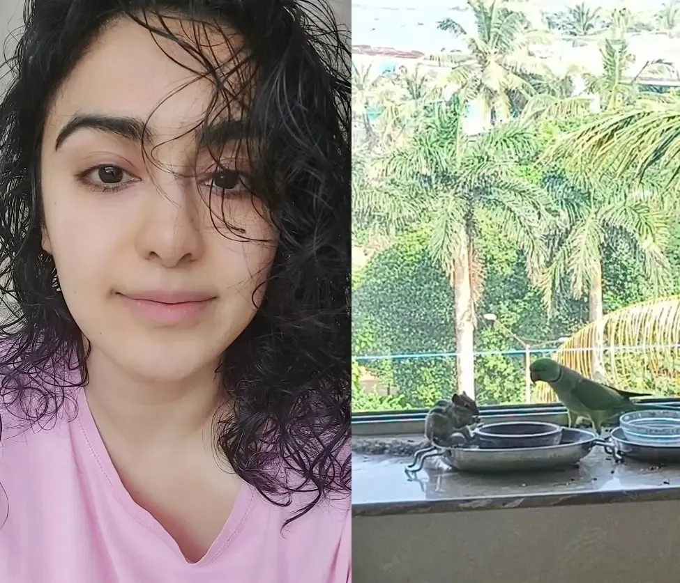 Adah Sharma presents a comical insight into the parrot-squirrel friendship with SRK's classic dialogue