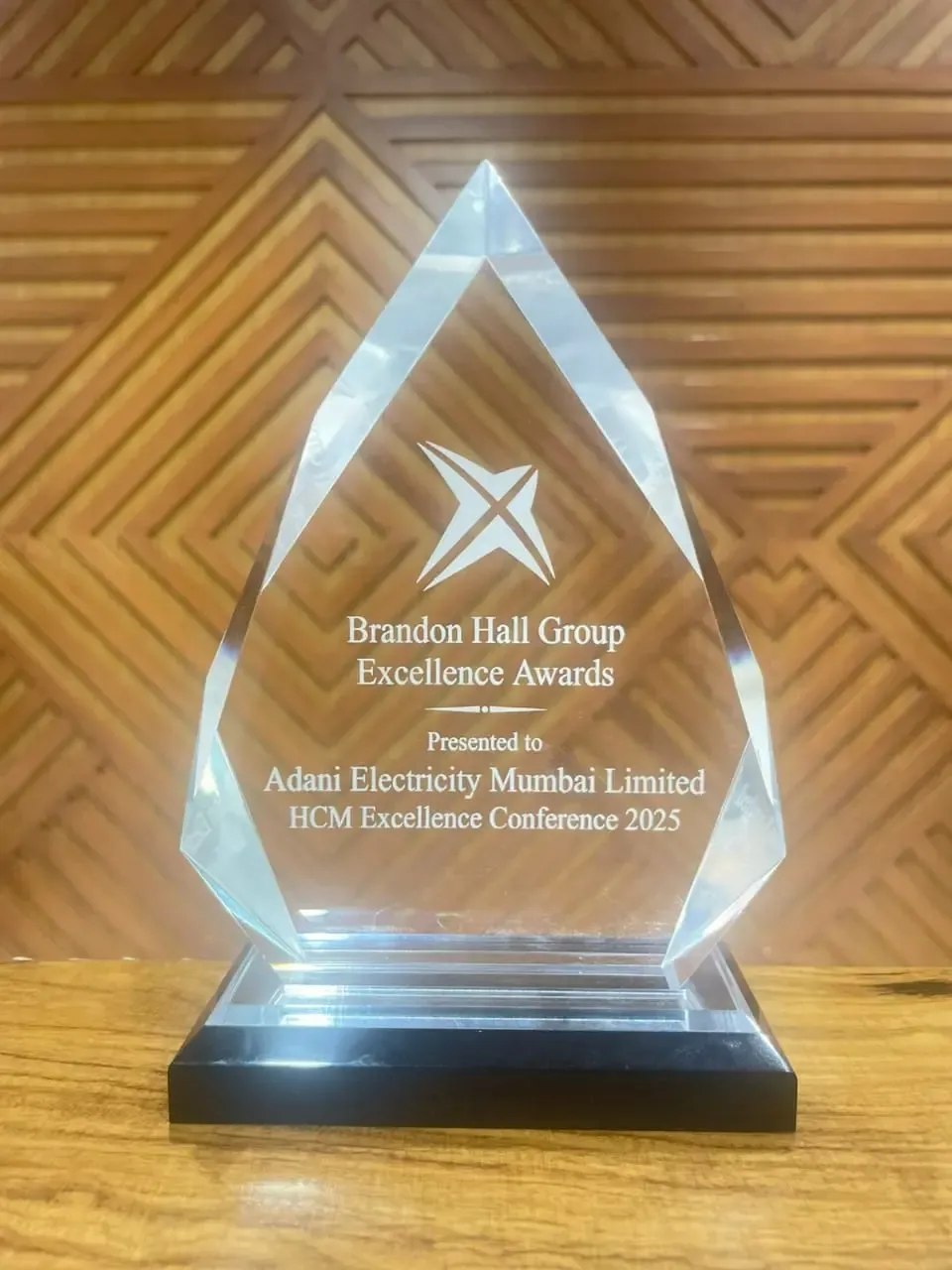 Adani Electricity Achieves 'Gold HR Excellence Award 2024' at Brandon Hall in the US