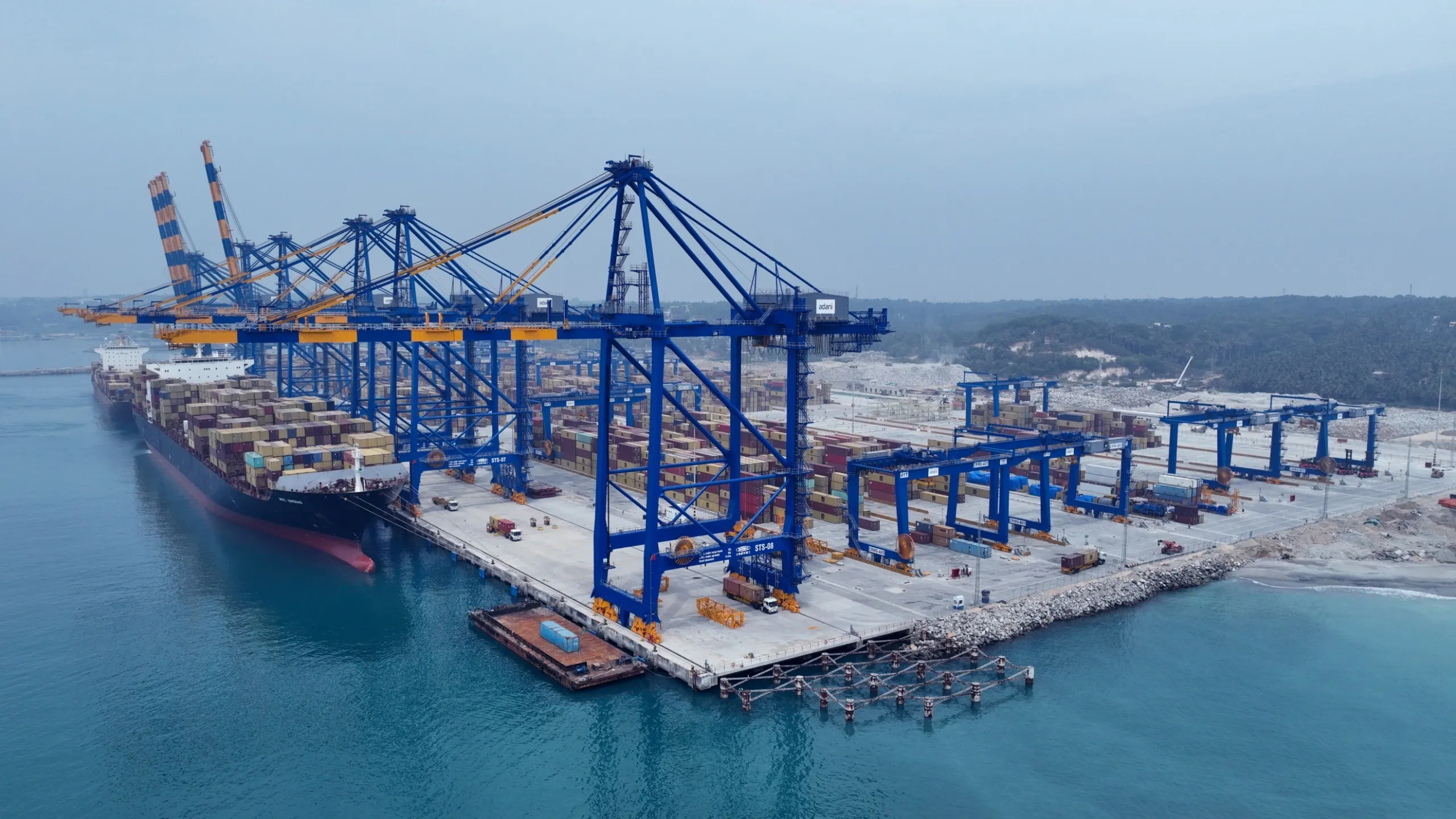 How Did Adani Ports Celebrate World Environment Day with a Major Sustainability Milestone?