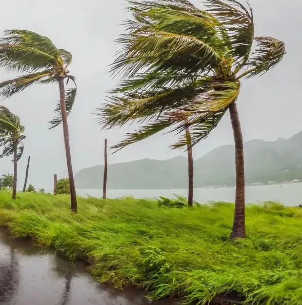 Could Aerosols Be the Key to Weakening Dangerous Cyclones?