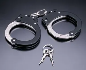 Bangladeshi Infiltrators Apprehended in West Bengal's Nadia District