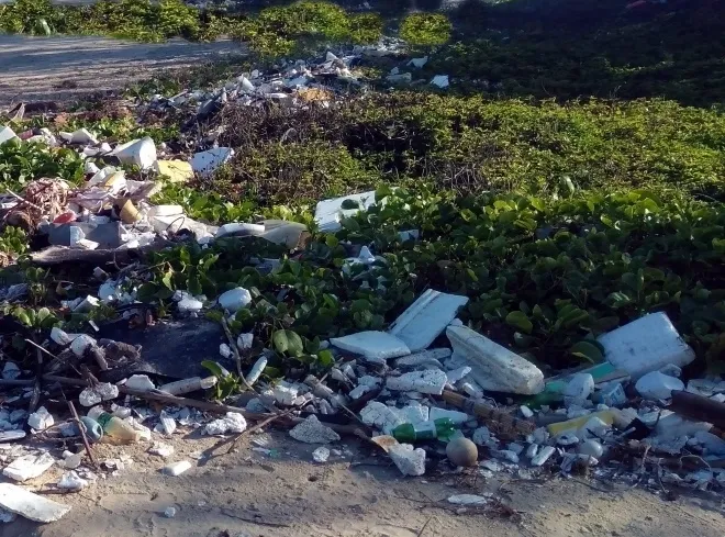 What Actions Are Being Taken After Plastic Was Discovered in a Deceased Elephant in TN?