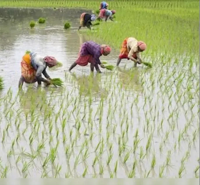 BJP Factsheet: Agriculture Sector Growth Outpaces UPA's Instability