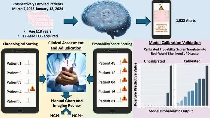 AI Algorithm Enhances Identification of High-Risk Heart Patients: Research