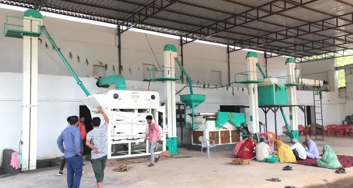 Can AI and IoT Propel India to the Forefront of Global Food Processing?