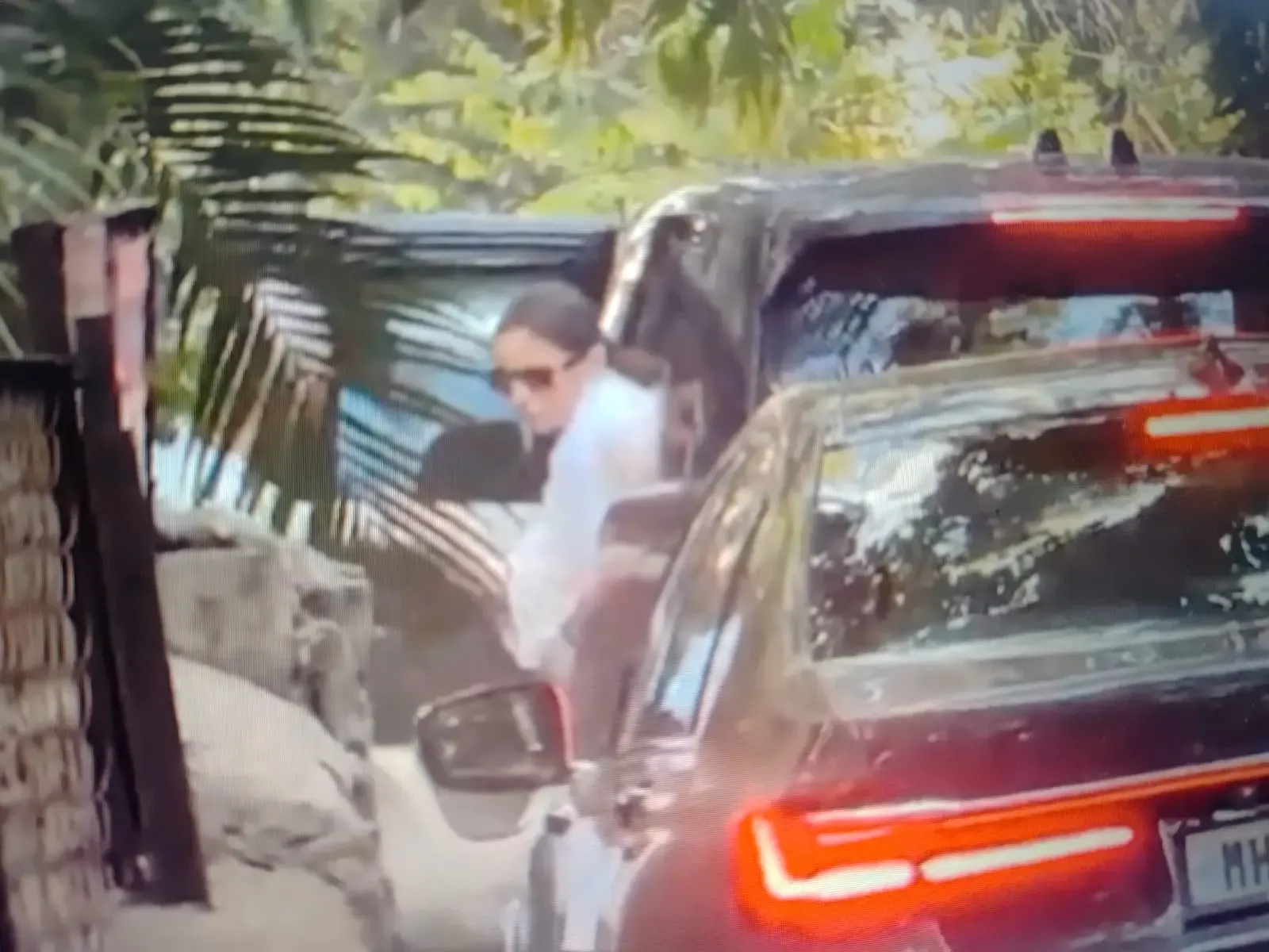 Alia Bhatt Shortens Her Holi and Birthday Festivities in Alibaug Following the Passing of Ayan Mukerji's Father