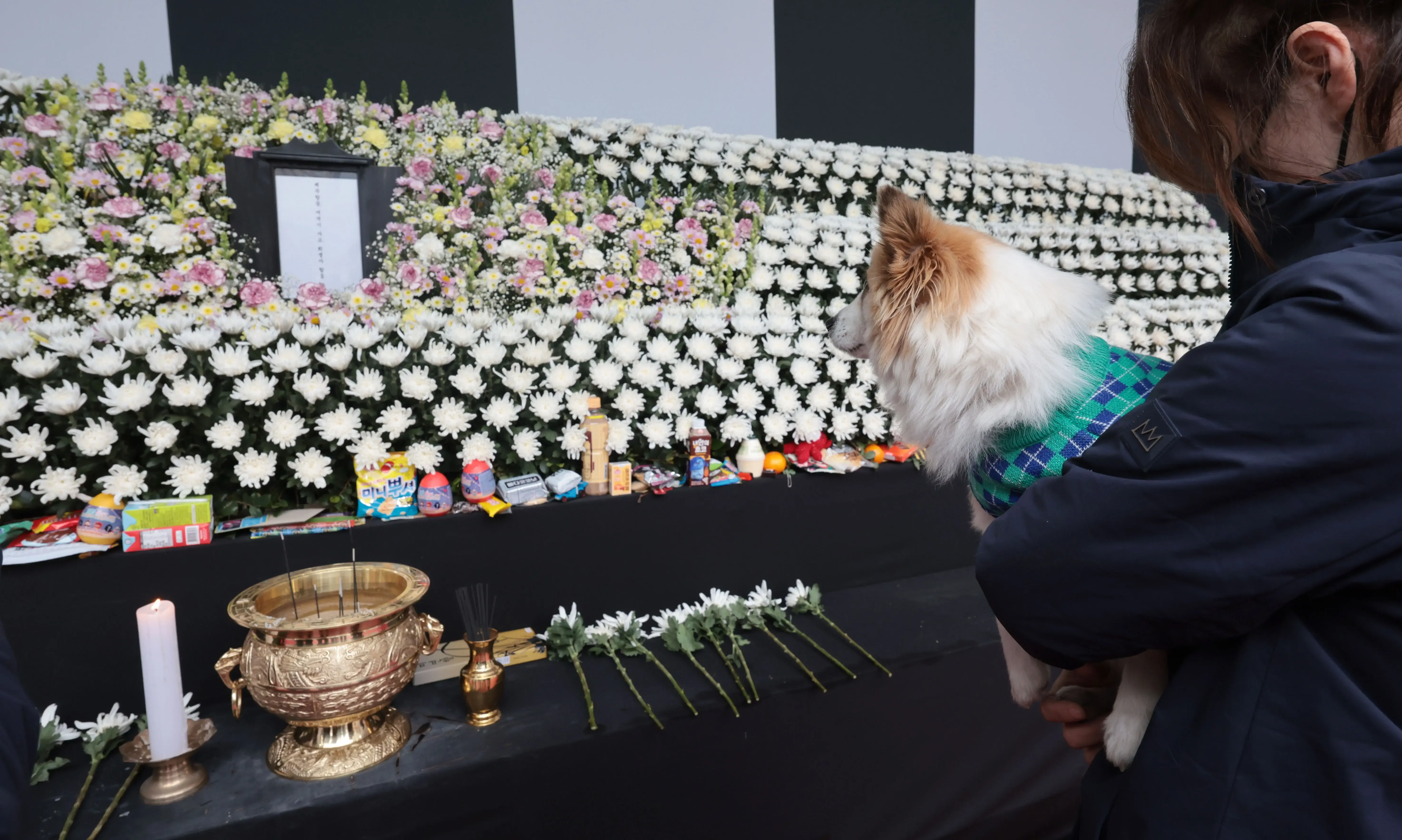 All Remains of Jeju Air Crash Victims to Be Returned to Their Loved Ones
