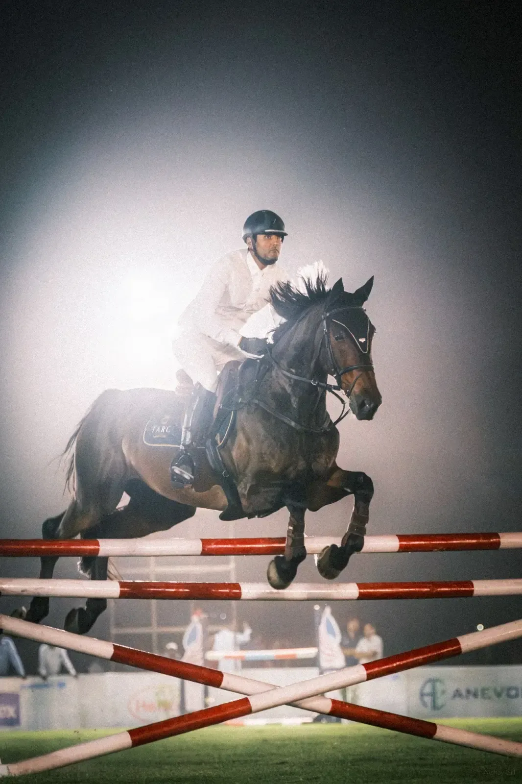 Amar Sarin Sets National Record at Delhi Horse Show