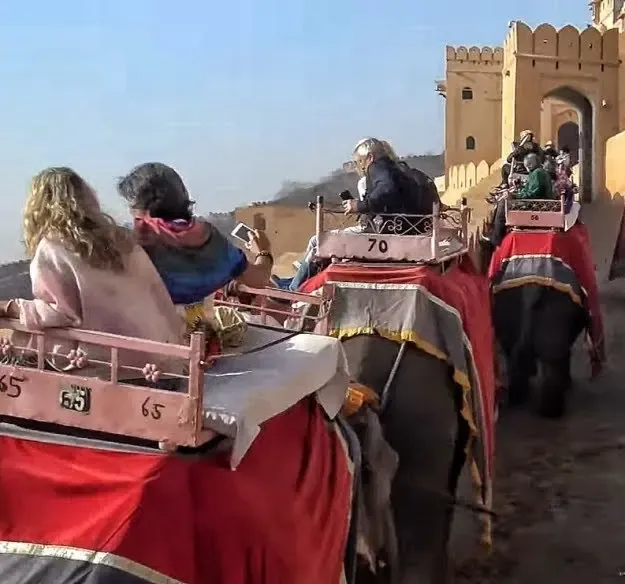 Fixed Price for Elephant Rides at Amer Fort Set at Rs 1,500 with Annual Increase
