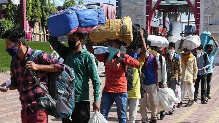 How has Tamil Nadu Registered Over 12 Lakh Migrant Workers?