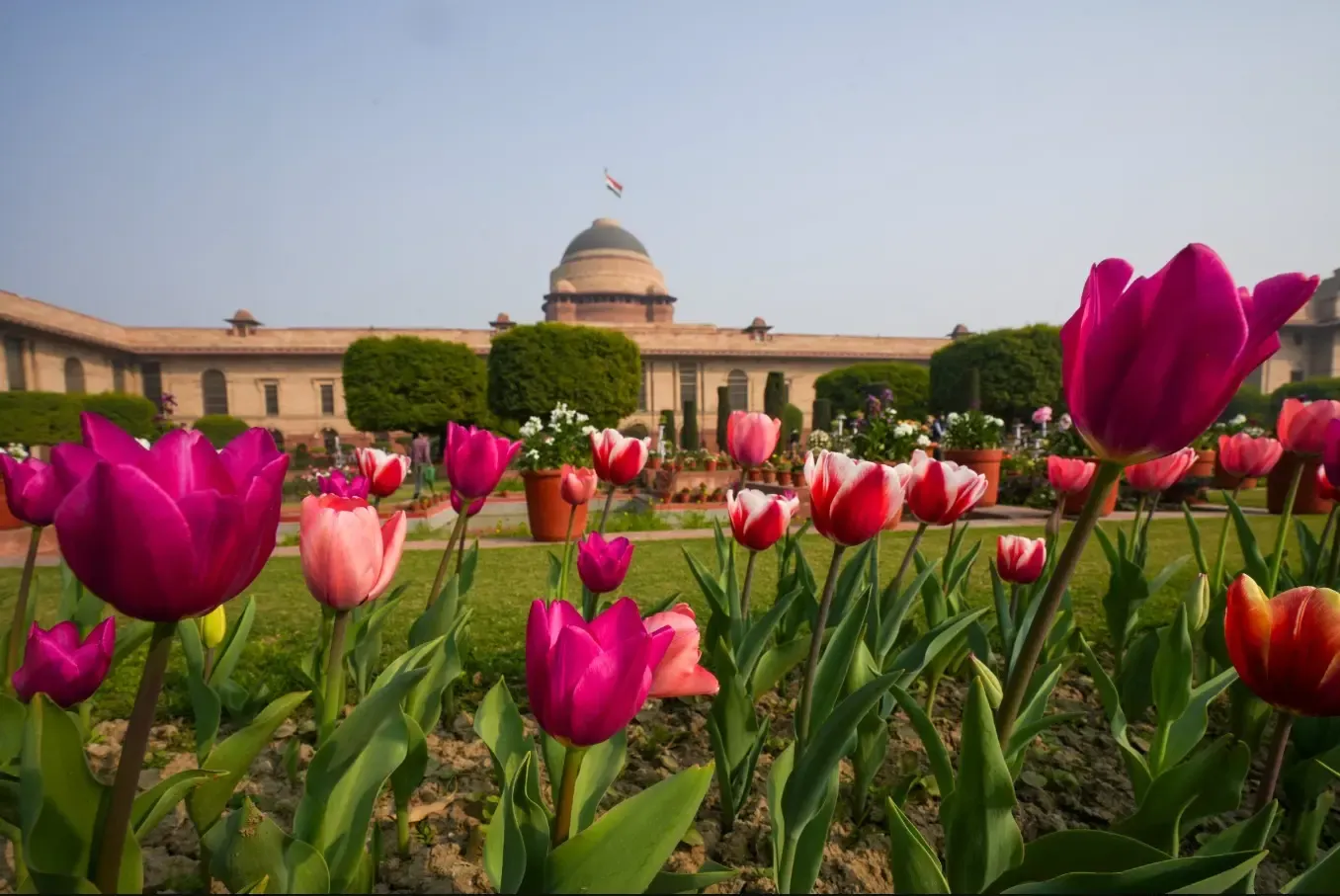 Amrit Udyan at Rashtrapati Bhavan Now Open for Visitors