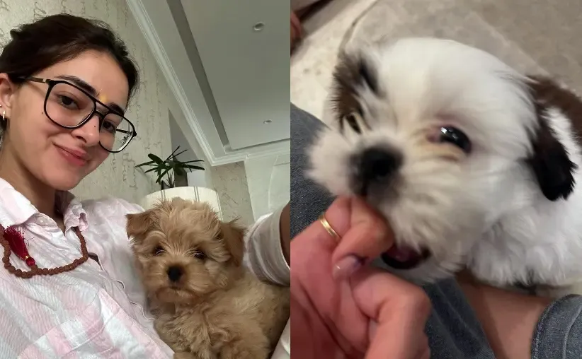 Ananya Panday Revels in 'Puppy Love' with Her Adorable Pets