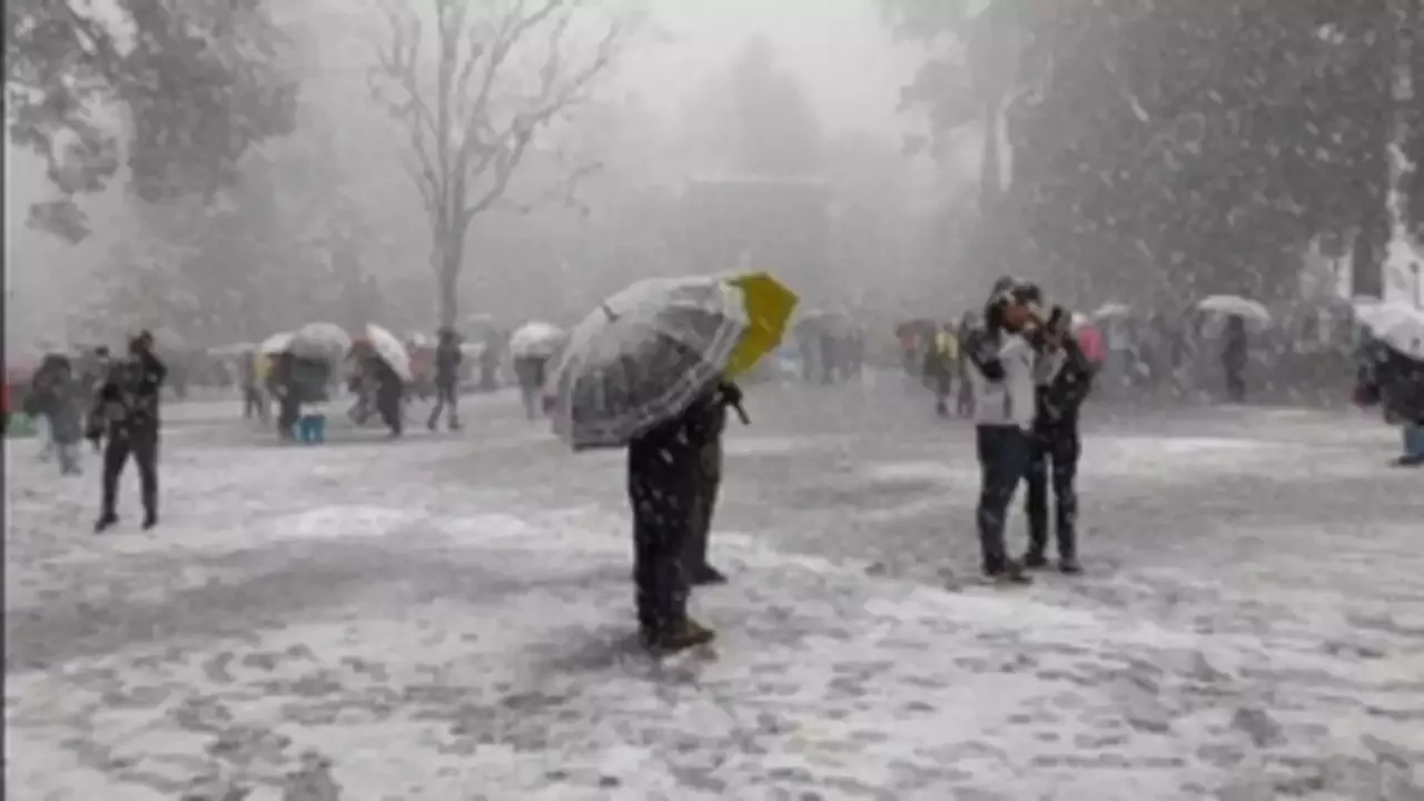 Upcoming Wet Weather in J&K Leaves Skiers Disappointed Over Lack of Snow in Gulmarg