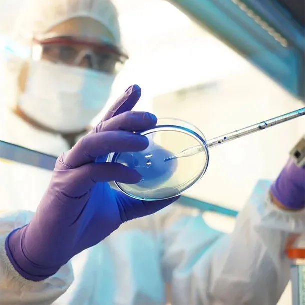 Potential of Antibody Therapy in Combatting Lethal Mucormycosis