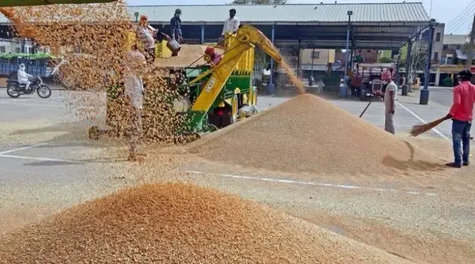 Kharif Crop Arrival and Promising Rabi Outlook Signal Positive Trends for Food Inflation