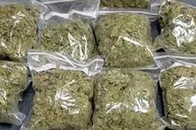 Assam Rifles and BSF Eliminate Ganja and Foreign Cigarettes Worth Rs 6.65 Crore