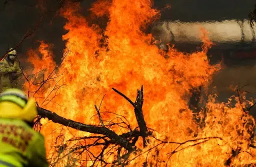 Perth Bushfire Forces Emergency Evacuation Orders