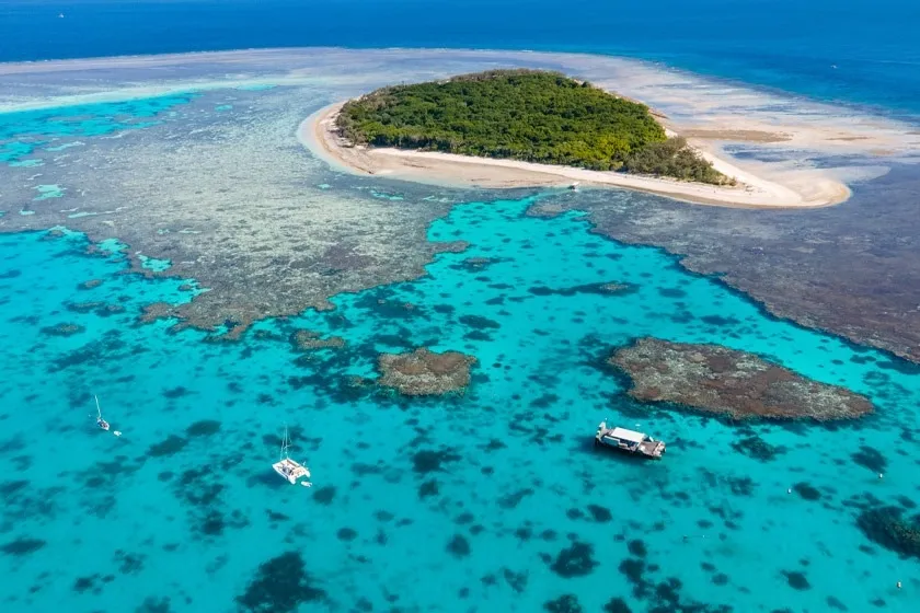 Is Australia's Great Barrier Reef Experiencing a Coral Crisis?
