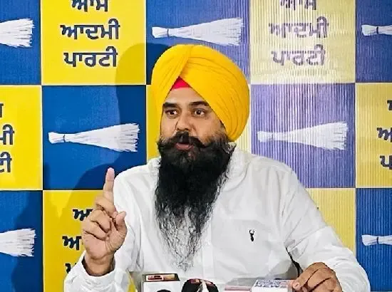 Punjab AAP Claims Bajwa's Own Party MLAs Are Disconnected