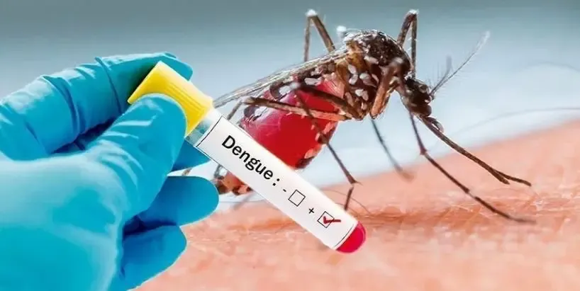 Bangladesh Reports Additional 13 Dengue Cases