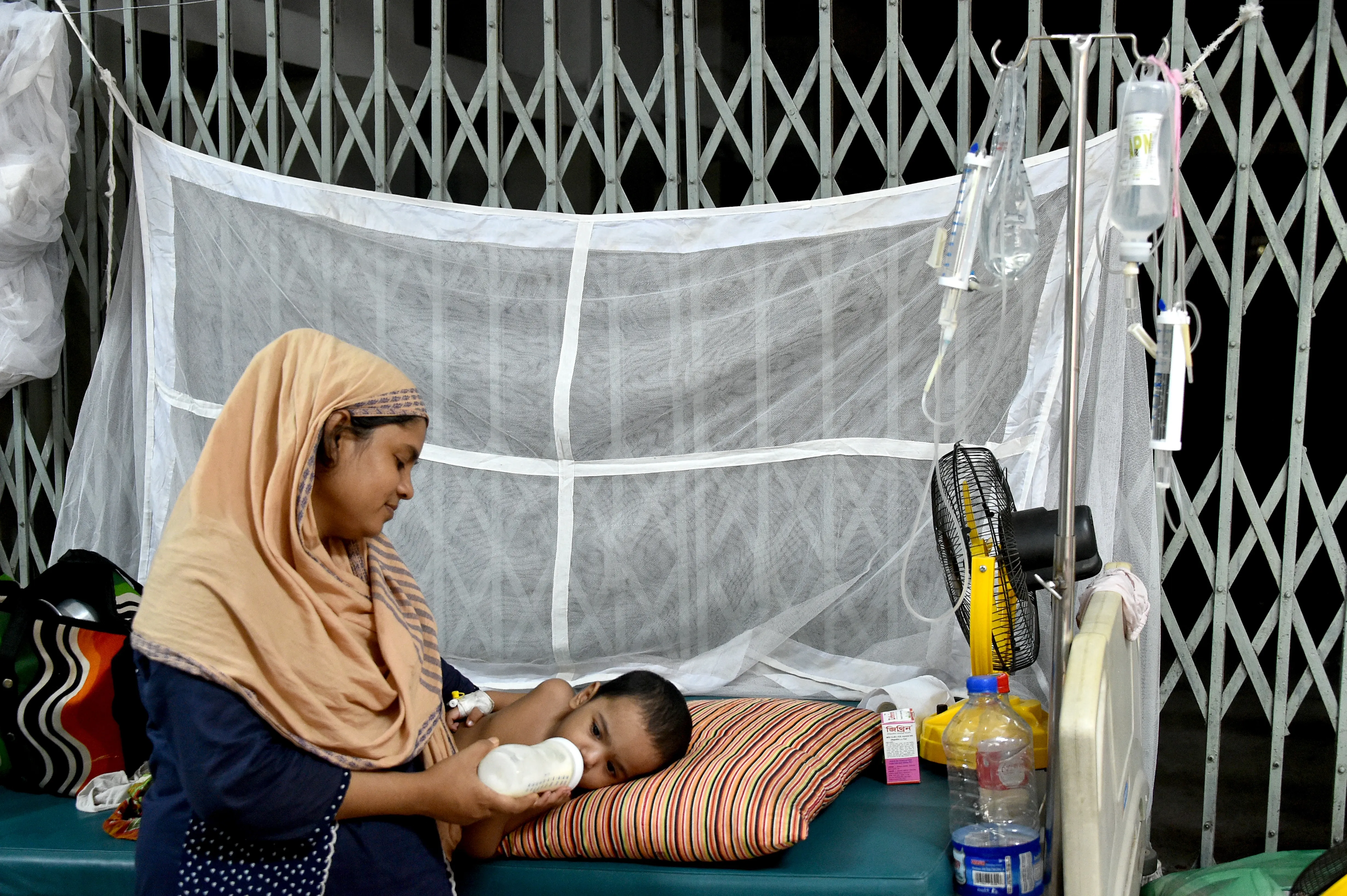 Bangladesh: Are dengue fatalities rising? Death toll in 2025 hits 73