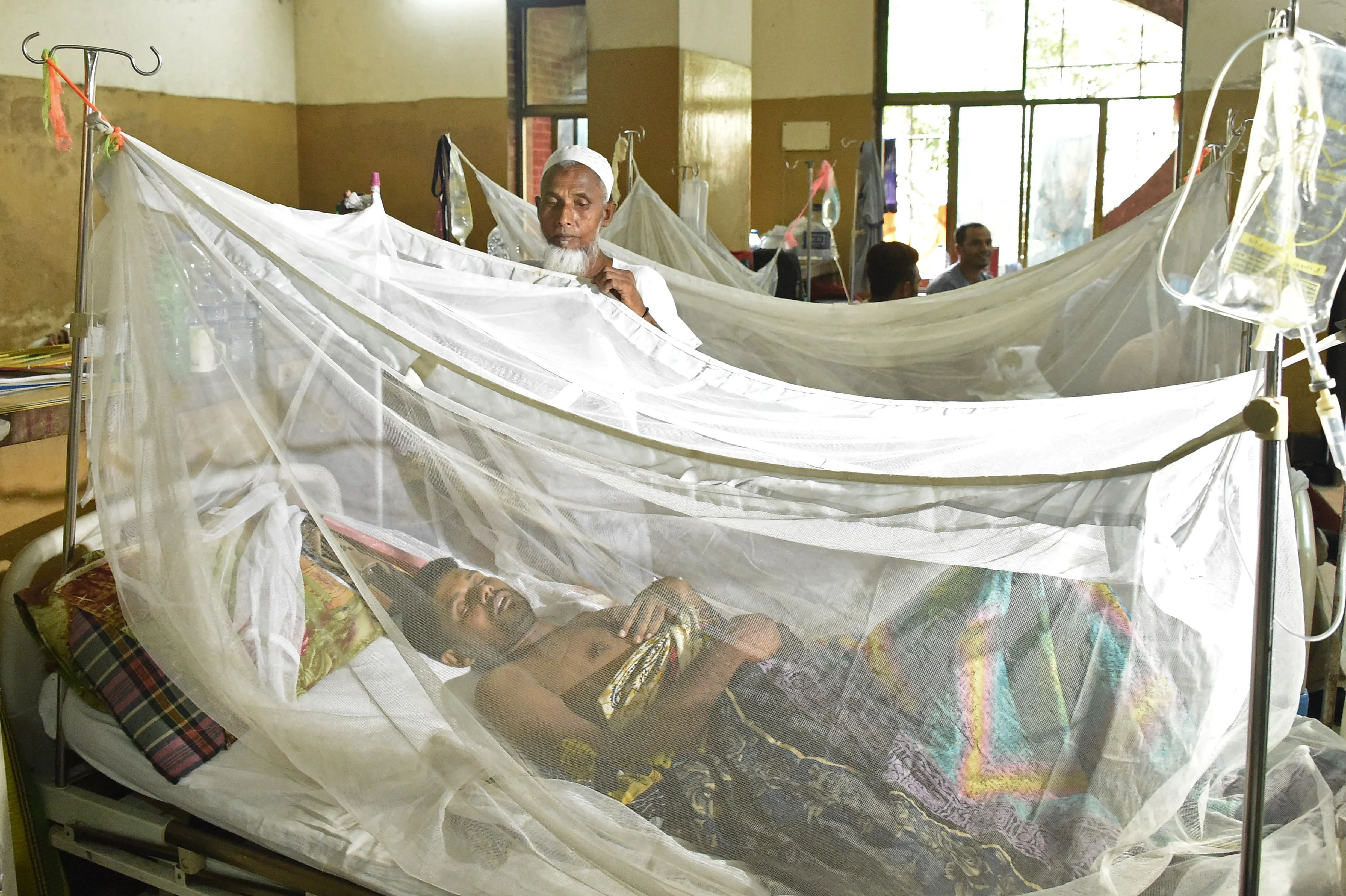 What Are the Latest Updates on Dengue Fatalities in Bangladesh?